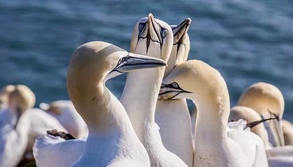 现在中国境内的正在经营的比特币交易所都是有哪些？