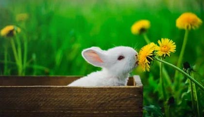 想靠炒币成为有钱人，靠谱吗？