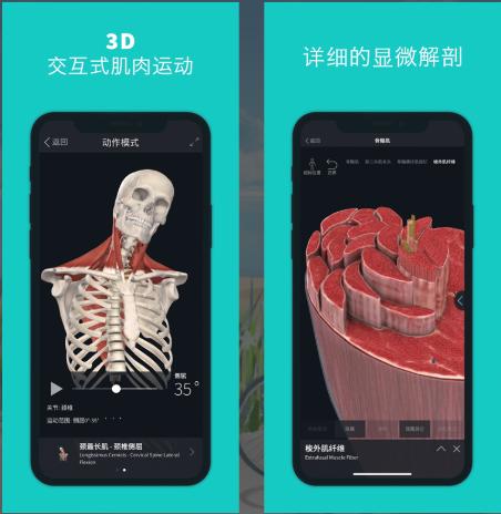 iPhone有什么好的app<strong></p>
<p>欧易ios下载</strong>？