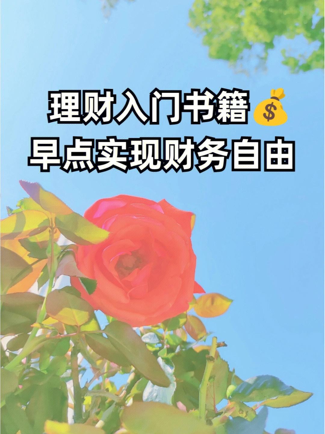 干货理财书(理财书籍推荐 知乎)