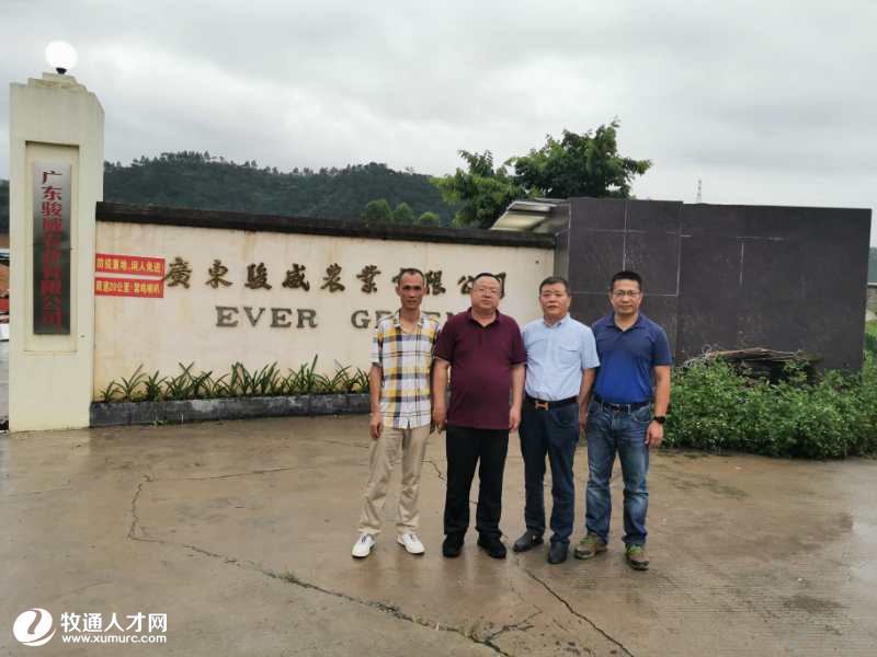 广东国龙贵金属诈骗(广东国龙律师事务所怎么样)