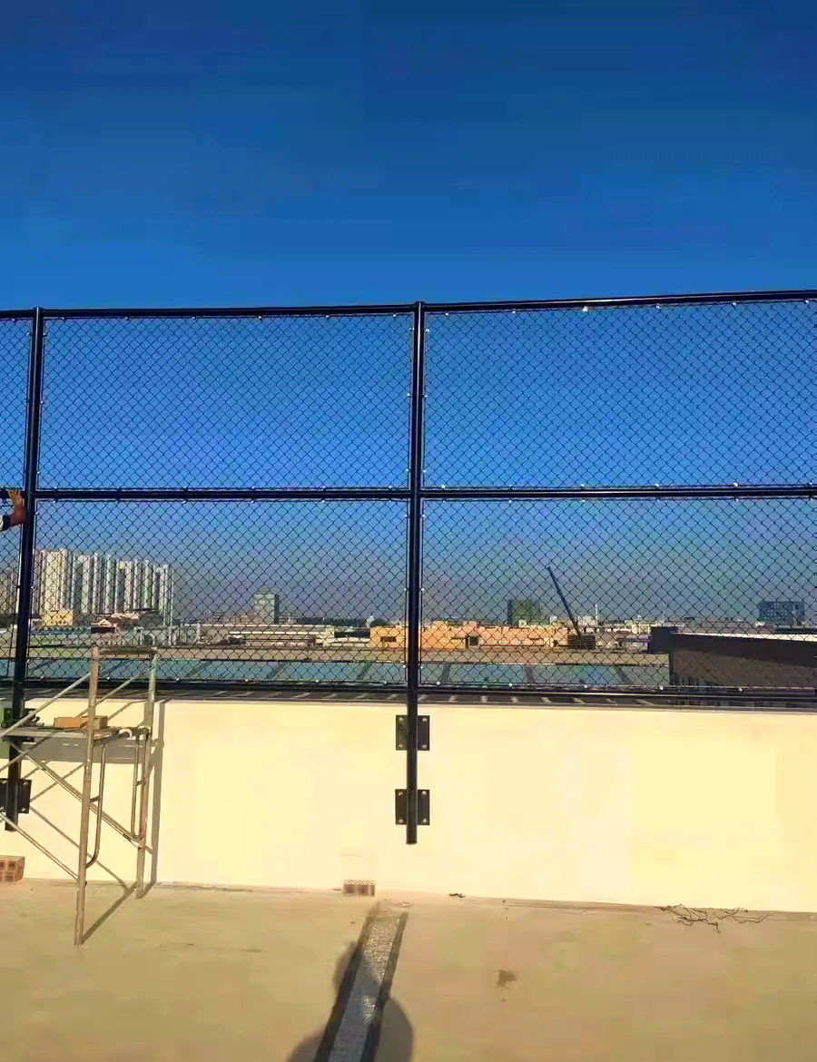 体育围网(河南体育围网)