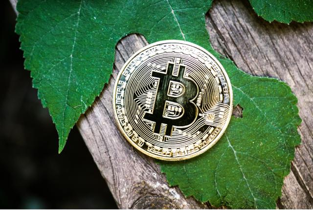 炒比特币(炒比特币用什么软件)