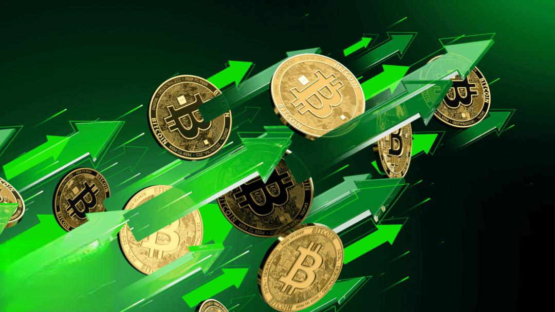 比特币论坛(比特币论坛2010)