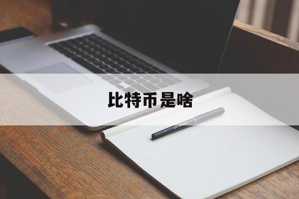 比特币是啥(比特币到底是什么)
